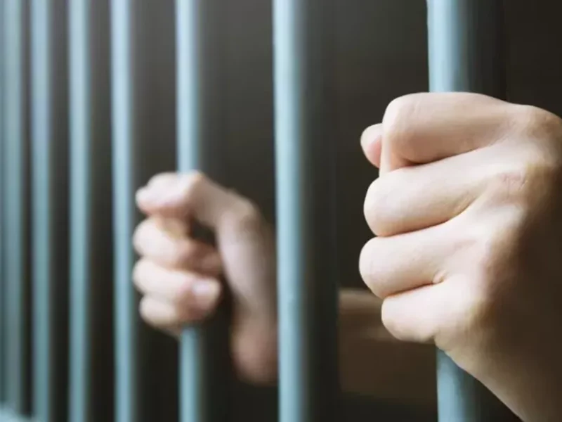 Conditions carcérales indignes à Seysses - remise en liberté